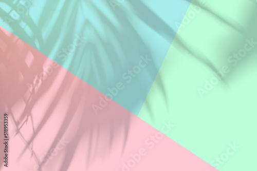 Tropical palm leaves shadow on pastel color background with copy space