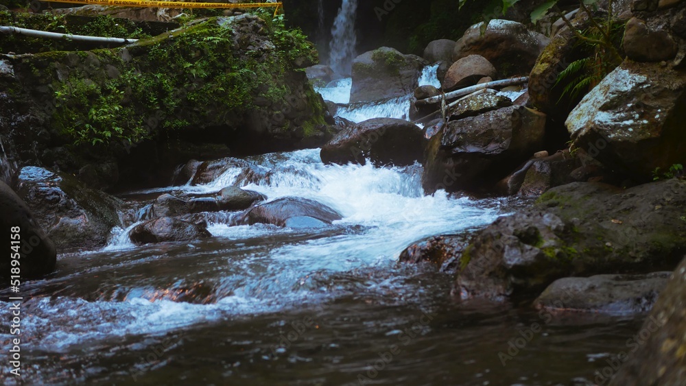Fototapeta premium Natural beauty in the tropics, very natural scenery