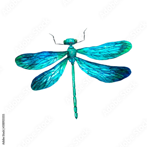 Dragonfly Design Very Cool