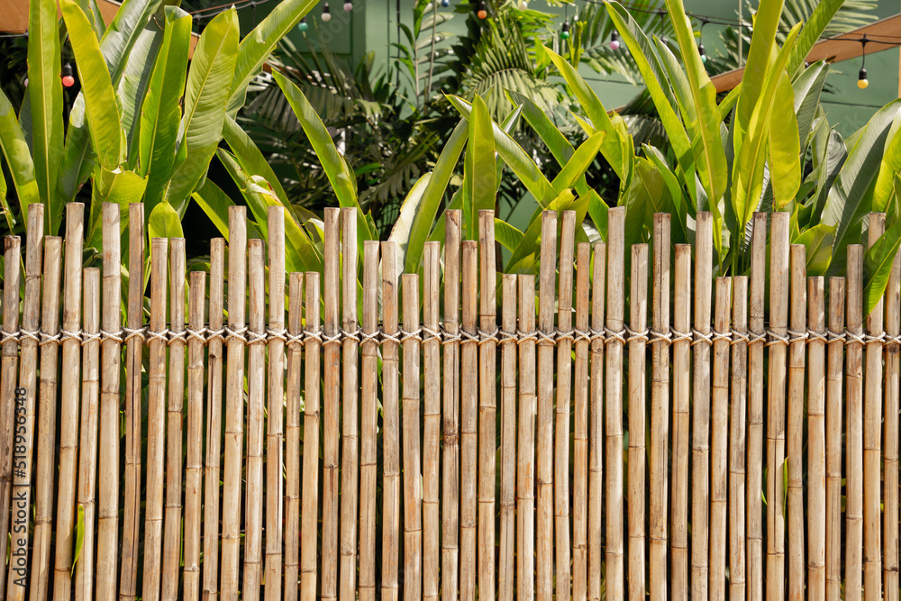 Obraz premium Background and texture of bamboo wall or fence