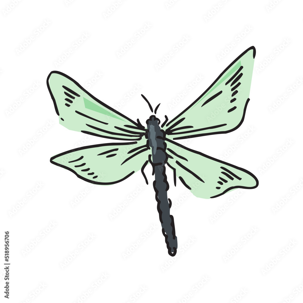 Obraz premium Dragonfly Design Very Cool