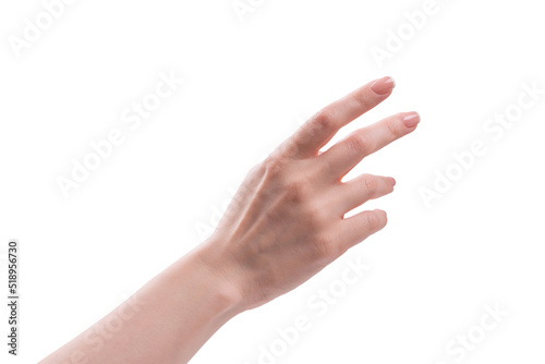 Woman hands with french manicure isolated on white bacckground.