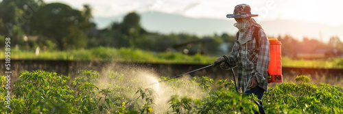 Fototapete Farmers are using chemical sprayers on their farm fields