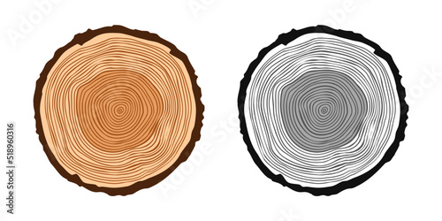 Round tree trunk cuts in various colors  sawn pine or oak slices  lumber. Saw cut timber  wood. Brown wooden texture with tree rings. Hand drawn sketch. Vector illustration