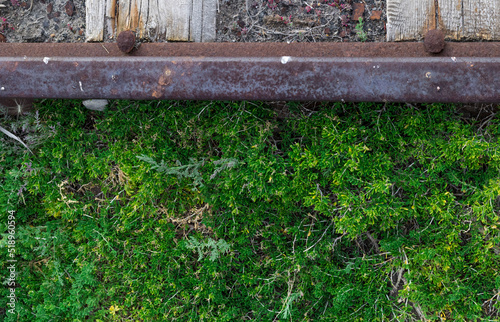 rusty railroad tracks with grass leading to a salt lake