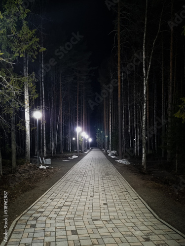Road through the park at night
