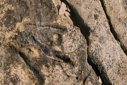Preserved signs of prehistoric Jurassic period - dinosaur foot track in stone 