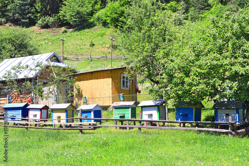 Wooden hives for bees in sunny day in Verkhovyna, Ukraine
