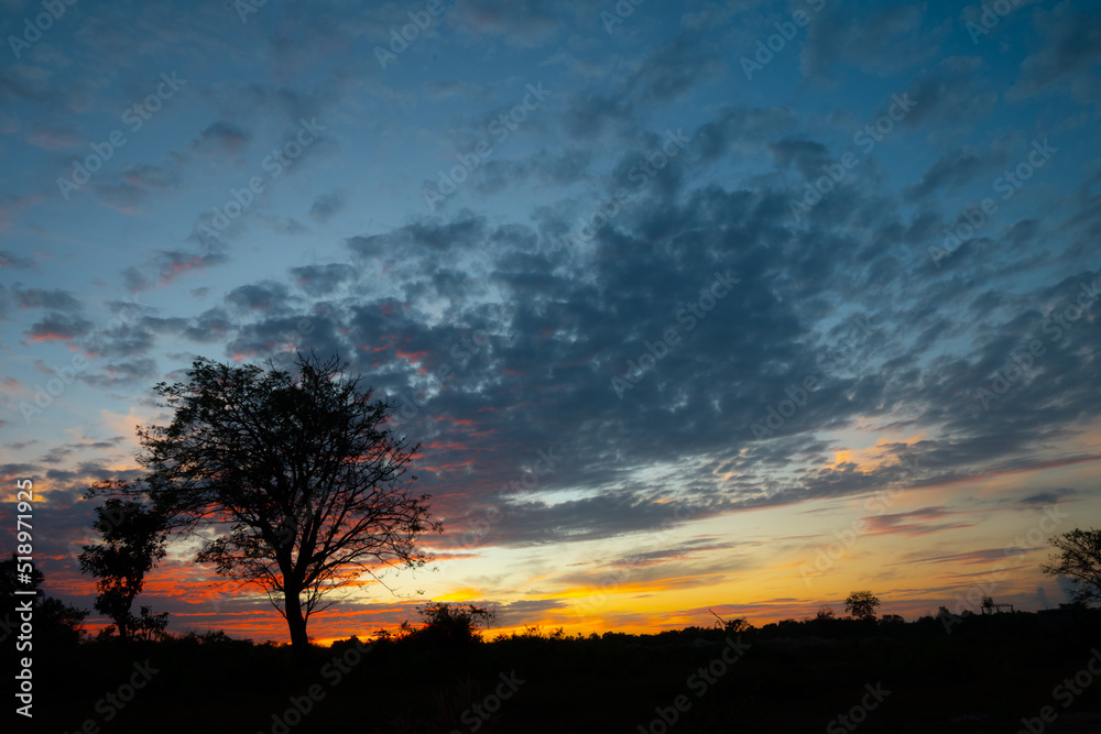 sunset with tree sunset with tree