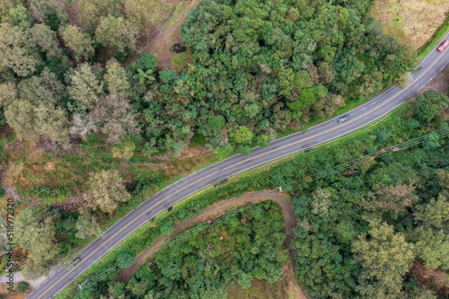 Cars travel on the road between vegetation, Bento Gonçalves city, RS, Brazil