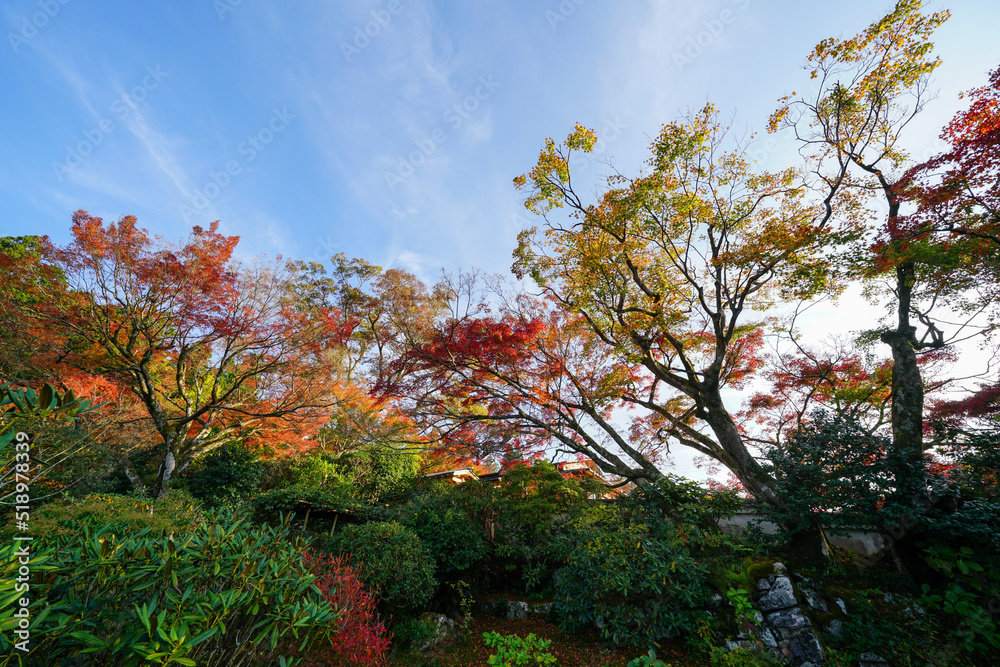 京都大原の紅葉風景