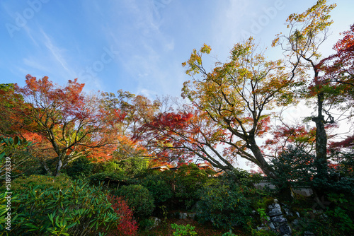 京都大原の紅葉風景