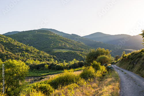 Vue au coucher du soleil du vignoble Saint-Chinian depuis une petite route près du hameau de Ceps à Roquebrun