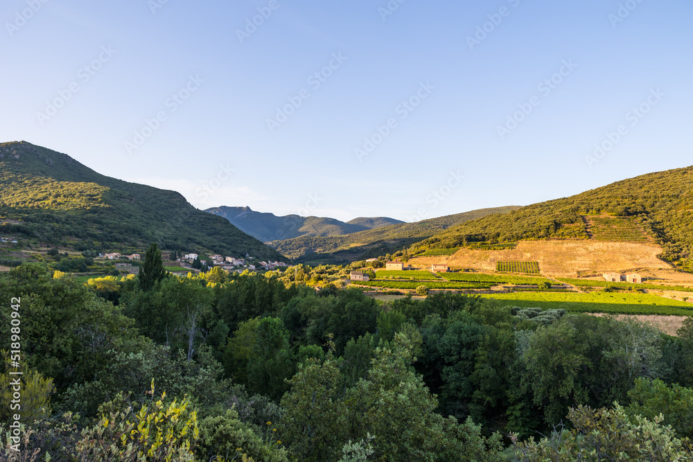 Vue au coucher du soleil sur le hameau de Ceps, sa forêt, son vignoble et les montagnes du Parc naturel régional du Haut-Languedoc