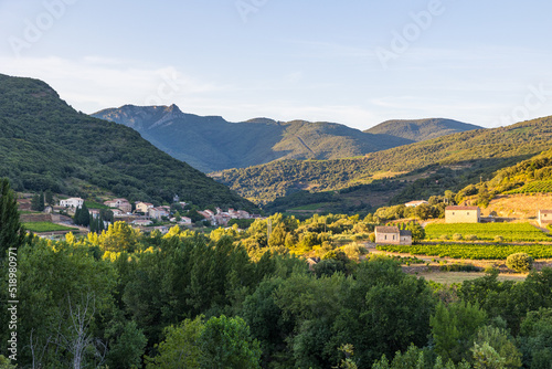 Vue au coucher du soleil sur le hameau de Ceps, sa forêt, son vignoble et les montagnes du Parc naturel régional du Haut-Languedoc