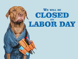 Signboard with the inscription We will be closed on Labor Day. Lovable, pretty puppy and hand tools. Closeup, indoors. Studio photo. Congratulations for family, friends, colleagues. Pets care concept