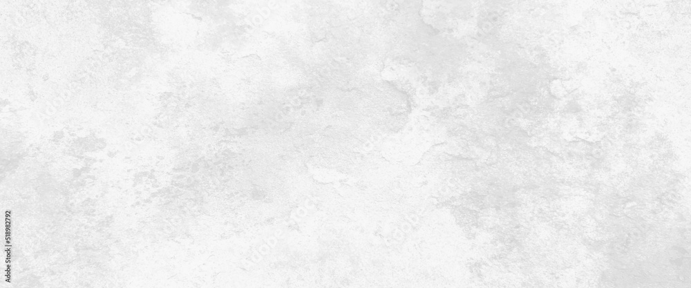 Fototapeta premium Abstract white texture, vintage old and elegant solid dark charcoal gray color, white powder explosion isolated on white background, mold on white wall. Fungus on white background.