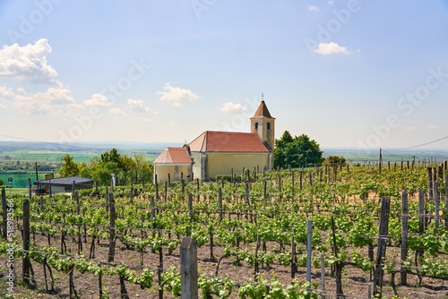 St Margaret chapel on Somlo hill in Hungary on a summer day. Hungarian name is Szent Margit kápolna, Somlóvásárhely photo