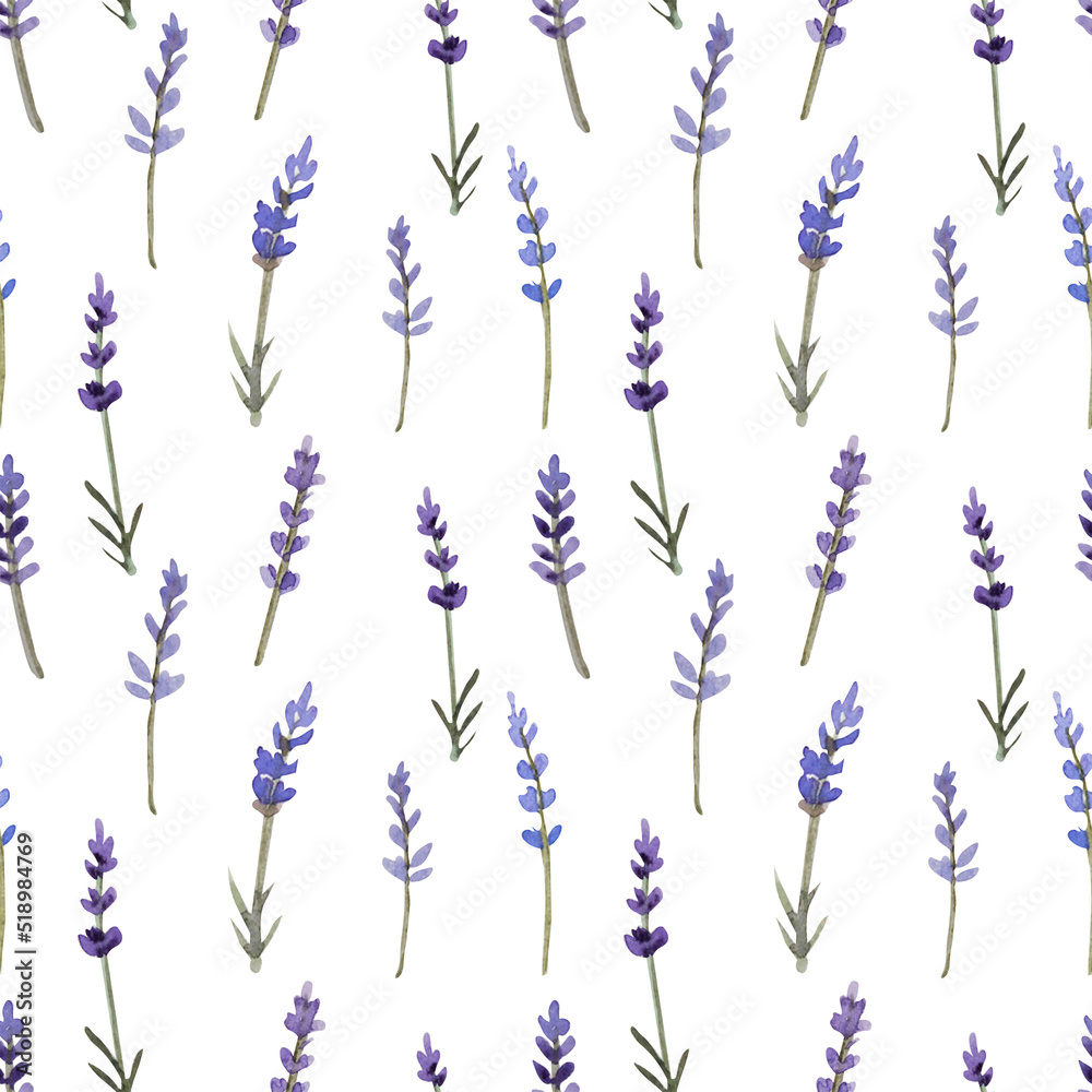 Naklejka premium Watercolor lavender pattern seamless on white background. For provence design and summer vibe.
