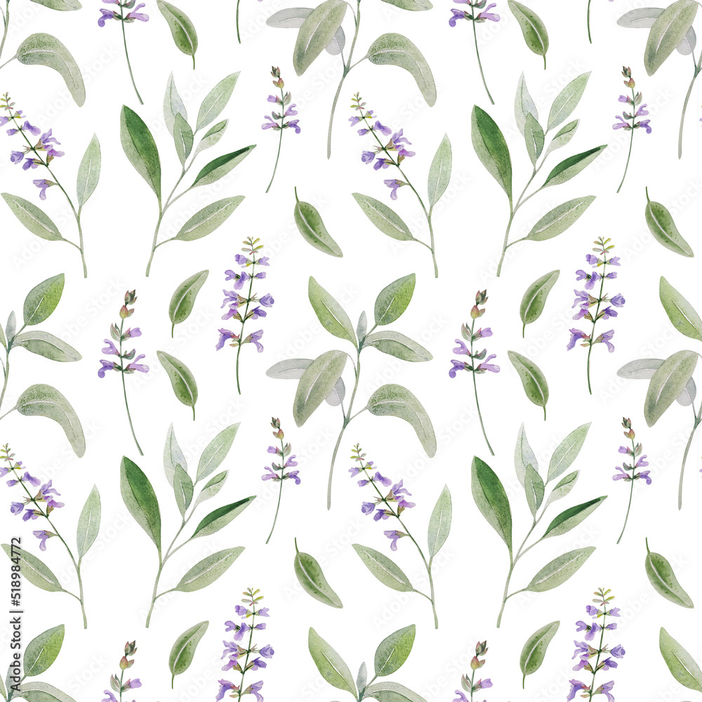 Fototapeta premium Watercolor herbal sage seamless pattern. Botanical realistic elements on white background
