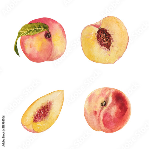 watercolor set of peaches isolated on white