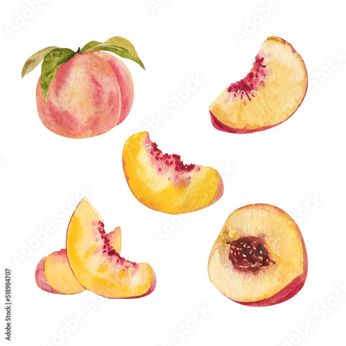 watercolor set of peaches isolated on white