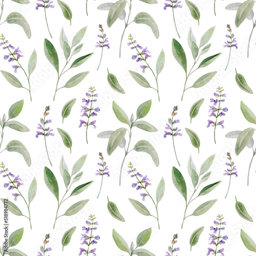 Watercolor herbal sage seamless pattern. Botanical realistic elements on white background