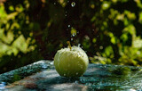 green apple in water splash