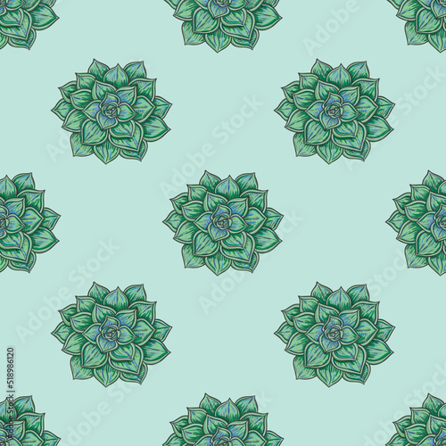 vector seamless pattern with echeveria plant in color 2
