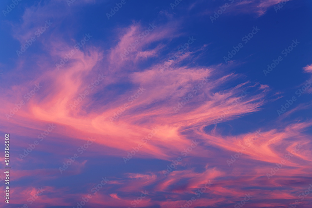 Dramatic horsetail clouds at sunset in the sky