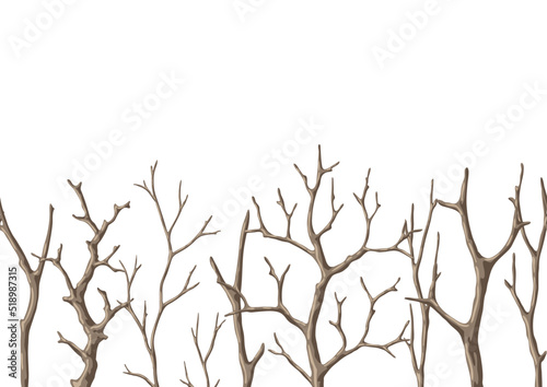 Seamless pattern with dry bare branches. Decorative natural twigs.