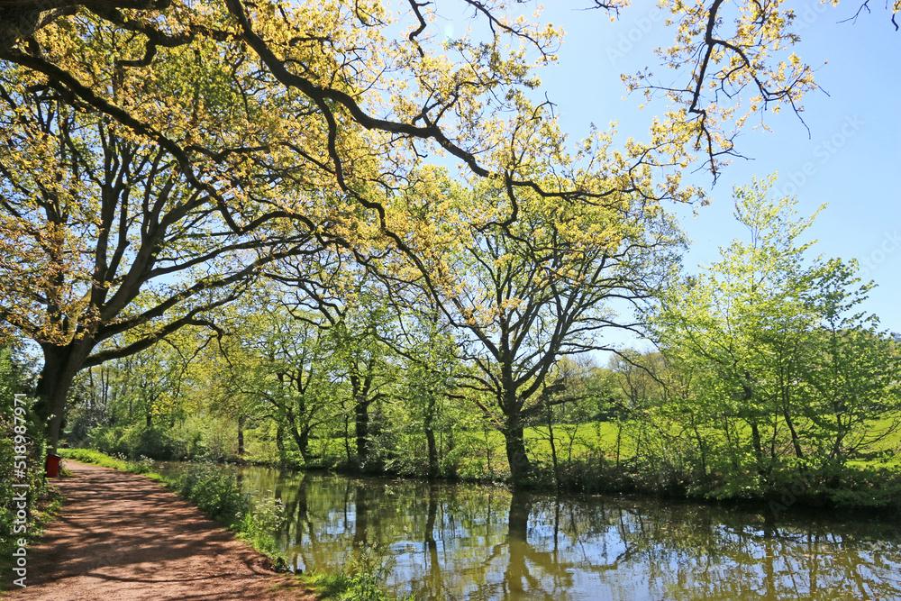 Great Western Canal in Tiverton, Devon