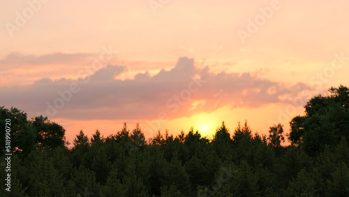 Landscape, sunny dawn in a field