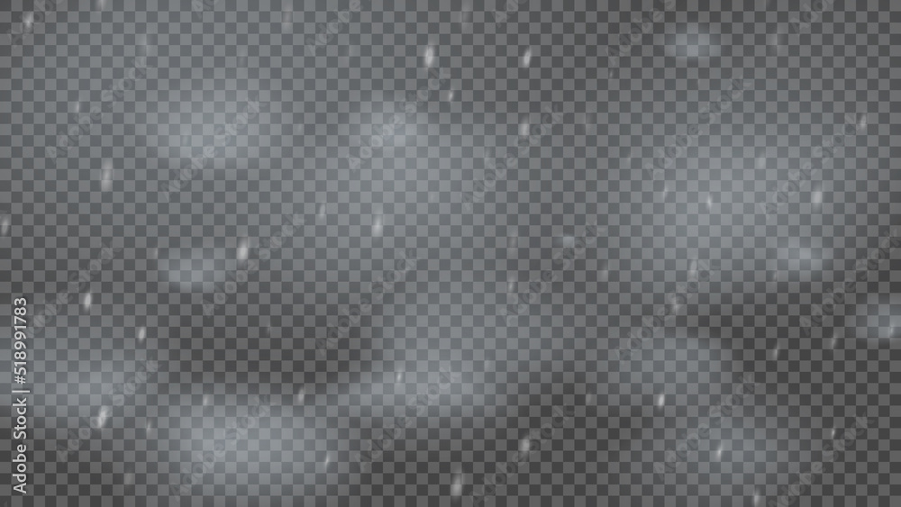 Snowstorm and falling snowflakes Snowstorm and falling snowflakes