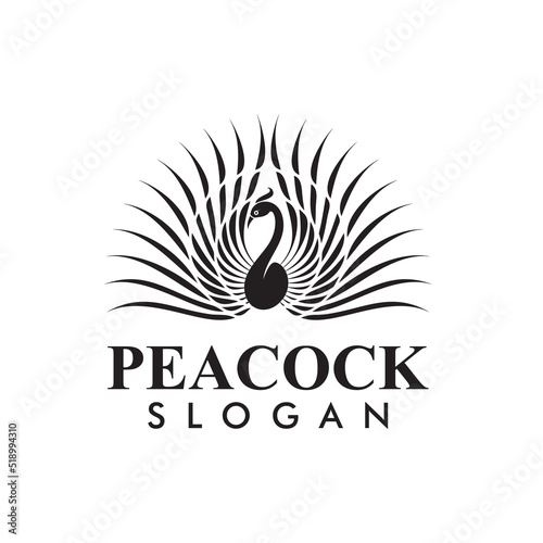 peacock logo vector art design