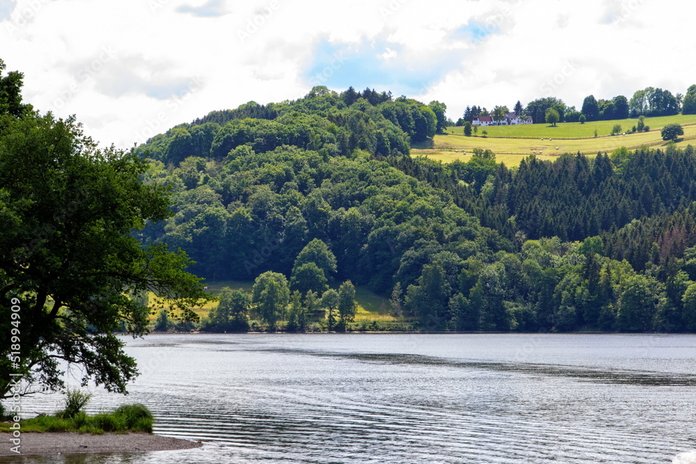 Fototapeta premium Wald am Rursee