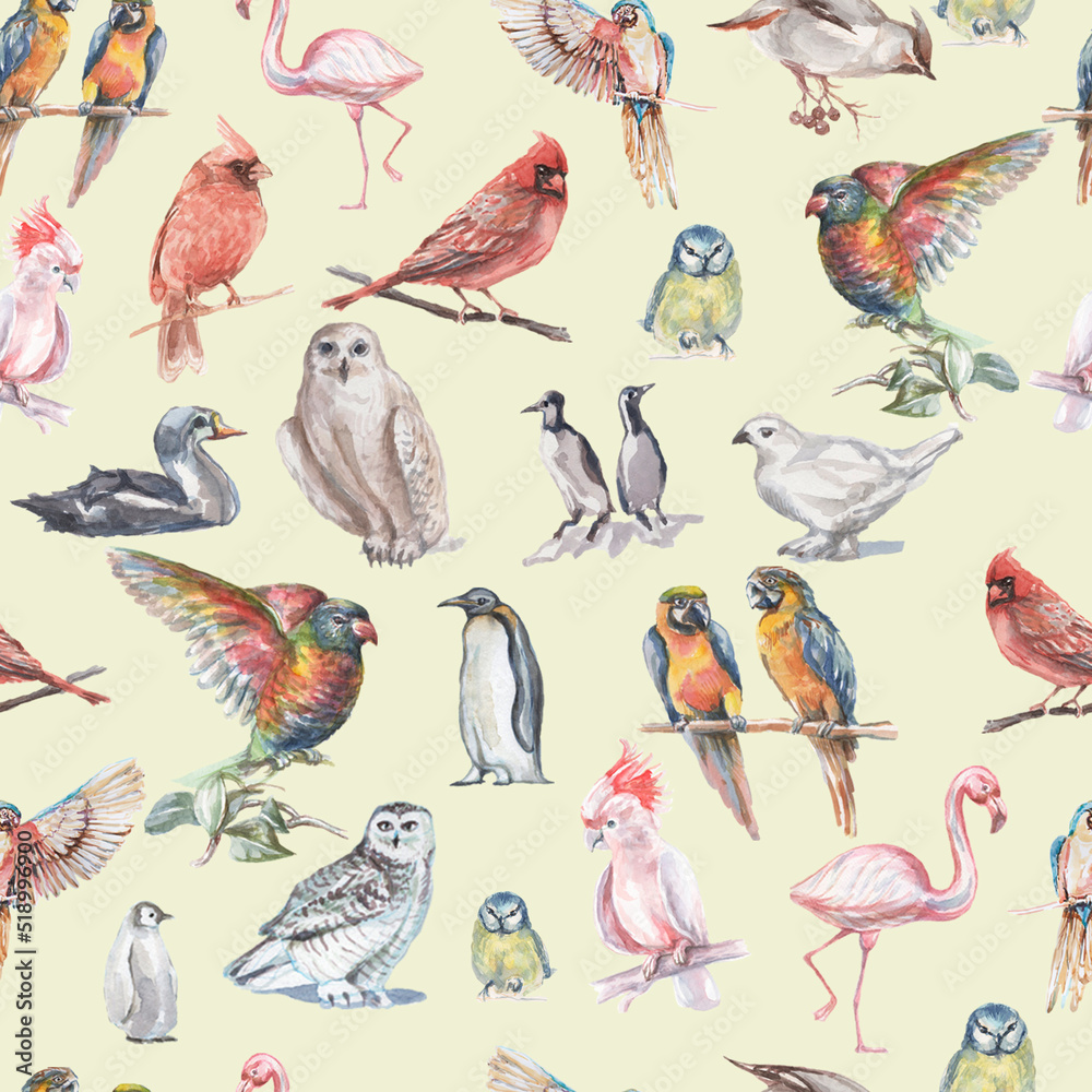 Obraz premium Birds watercolor illustration hand drawn background animals nature clipart different birds owl 