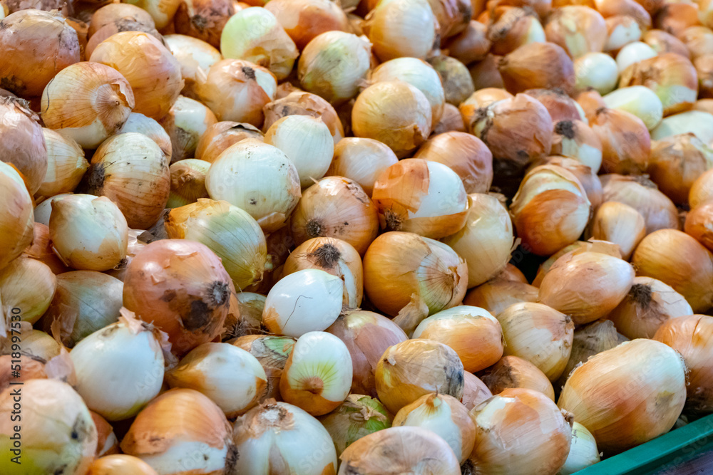 Fresh onions. Onions background. Ripe onions. Onions in market Fresh onions. Onions background. Ripe onions. Onions in market