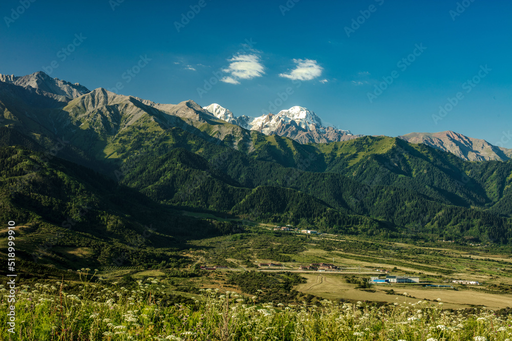 Fototapeta premium landscape in summer