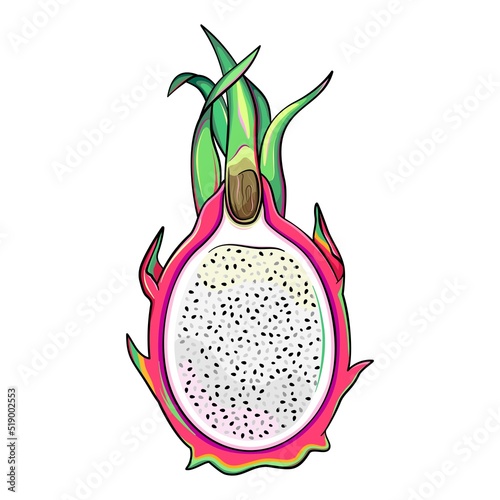 Half of a dragon fruit, cut pitaya, catroon style illustration