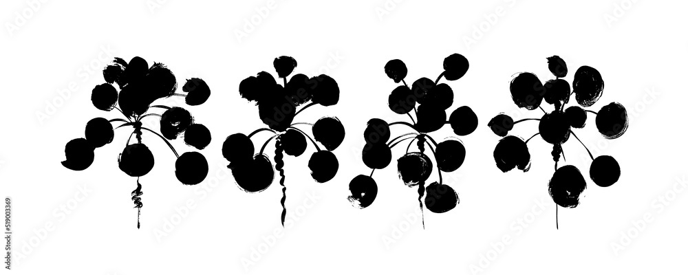 Pilea leaves with stems vector icons set. Black branches with circle leaves. Botanical elements with bold plants. Hand drawn black brush stroke botanical clap arts. Drawing of pilea stems