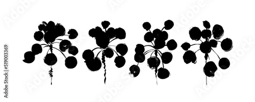 Pilea leaves with stems vector icons set. Black branches with circle leaves. Botanical elements with bold plants. Hand drawn black brush stroke botanical clap arts. Drawing of pilea stems