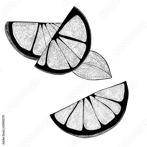 Set Hand drawn lemons with leaves: lemon wedges, half a lemon. Citrus organic...