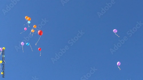 a many blue and yellow helium balloons flying up in the sky on school feast in Ukraine