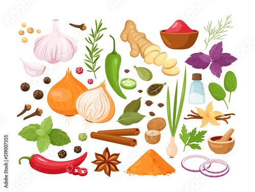 Spices and herbs. Vector set of kitchen herbs with vanilla,  anise, ginger, cinnamon, curry, basil, garlic, bay leaves, chili pepper, rosemary. Popular indian spices for menu, pattern, background