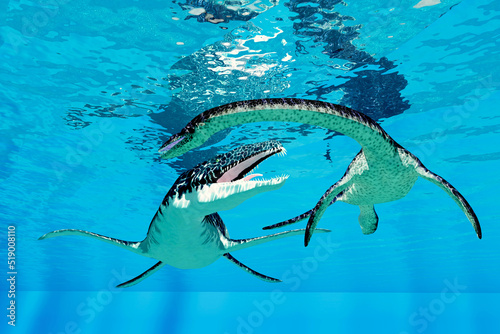 Liopleurodon hunts Plesiosaurus - A Liopleurodon goes after a Plesiosaurus aquatic marine reptile during the Jurassic Period. photo