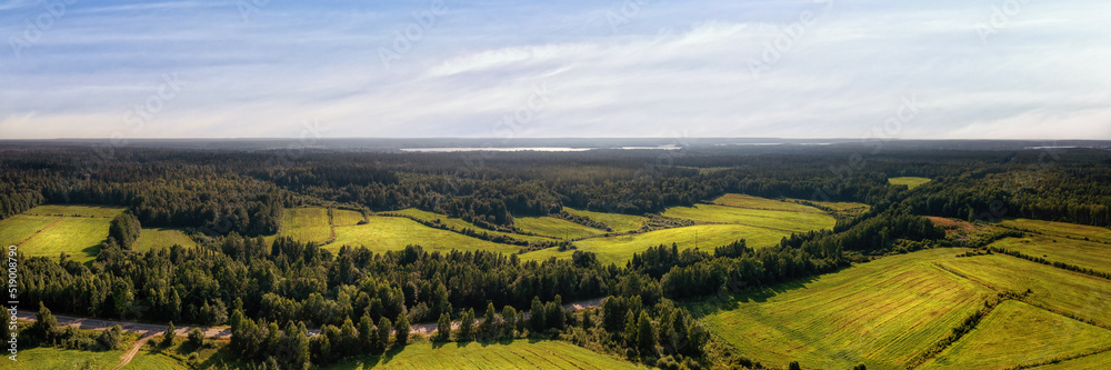 Green fields and dark forest aerial panoramic view