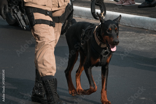 Police doberman round