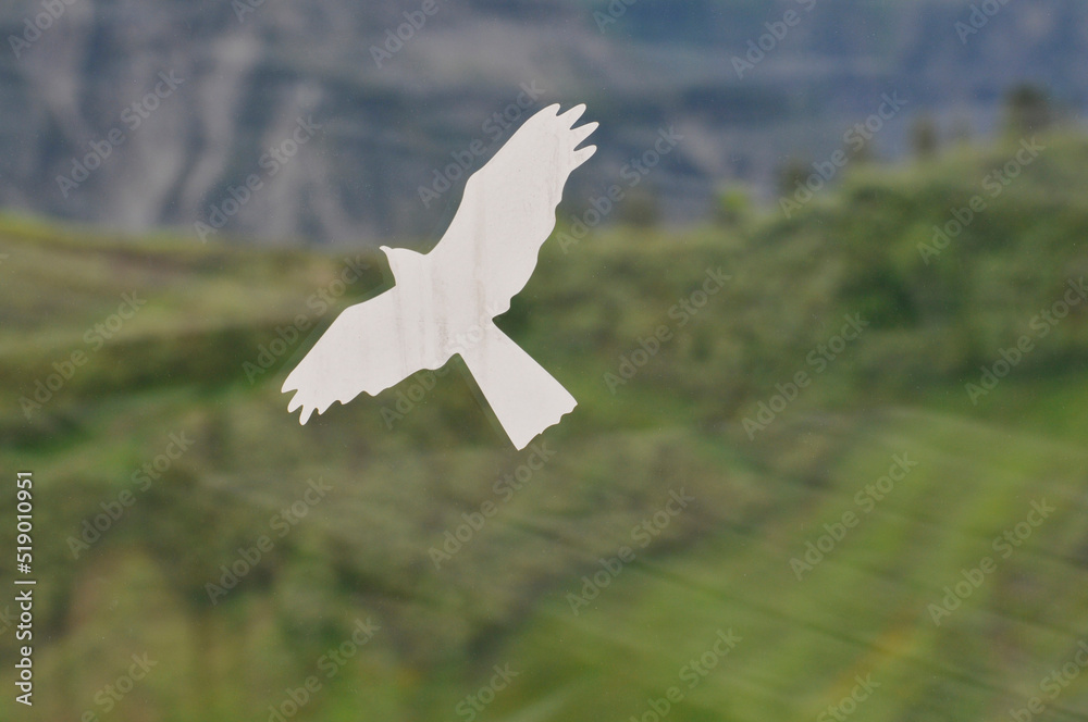 vogelattrappe an einer fensterscheibe im gebirge vogelattrappe an einer fensterscheibe im gebirge