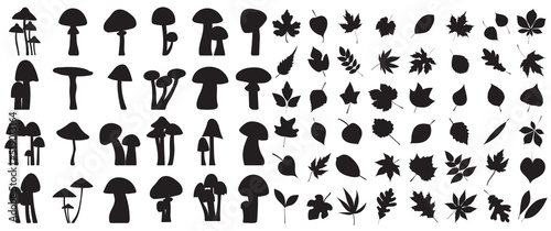 silhouette set of mushrooms on white background isolated, vector